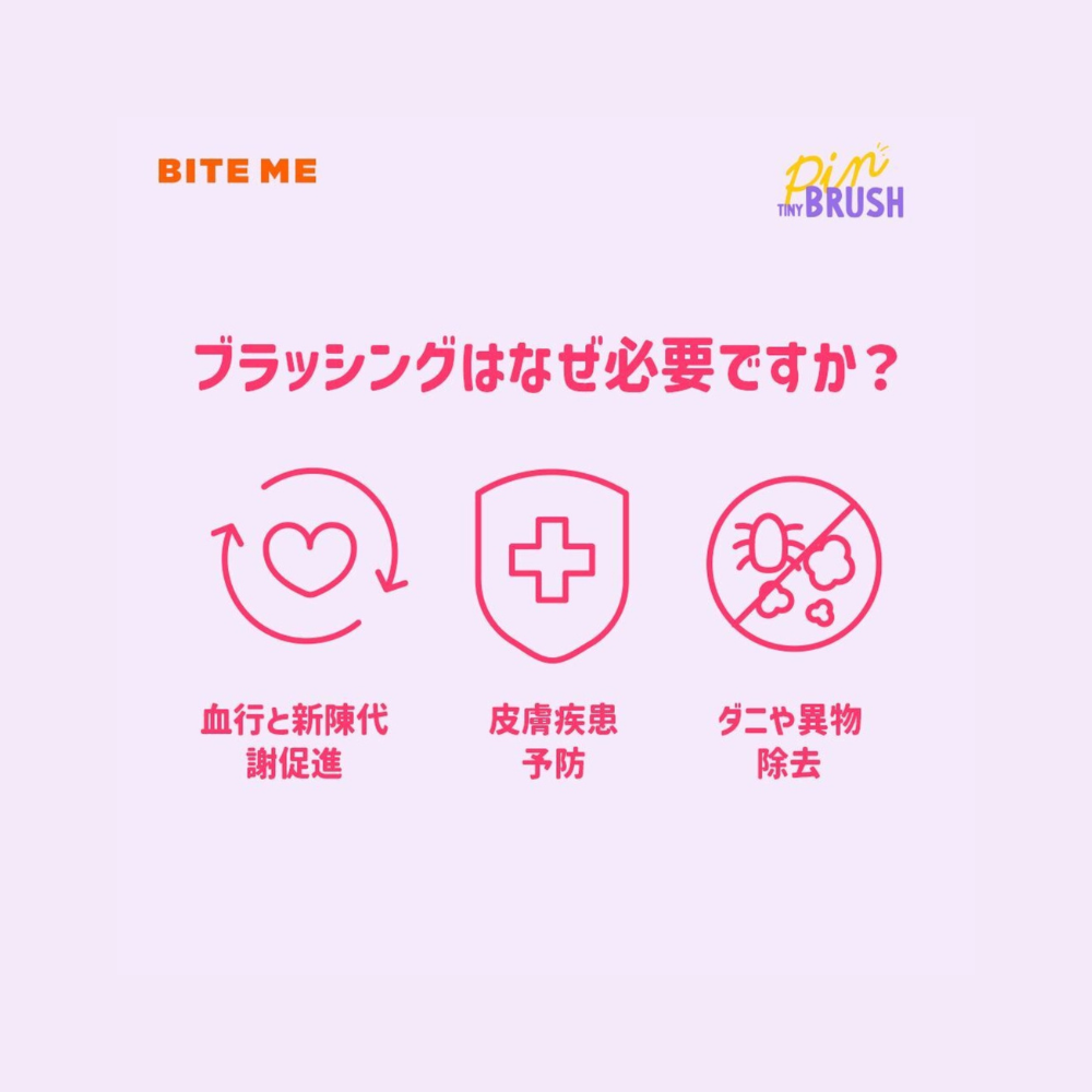 ★即納【BITE ME】タイニーピンブラシ