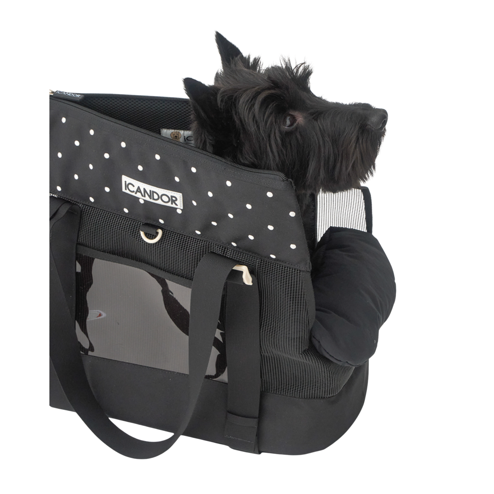 NEW｜予約商品【iCANDOR】Brisbane Bag｜ Capri Black  ※M,L,XL