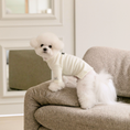 Gallery viewerに画像を読み込む, NEW｜即納【todley】New Turtleneck｜Ivory
