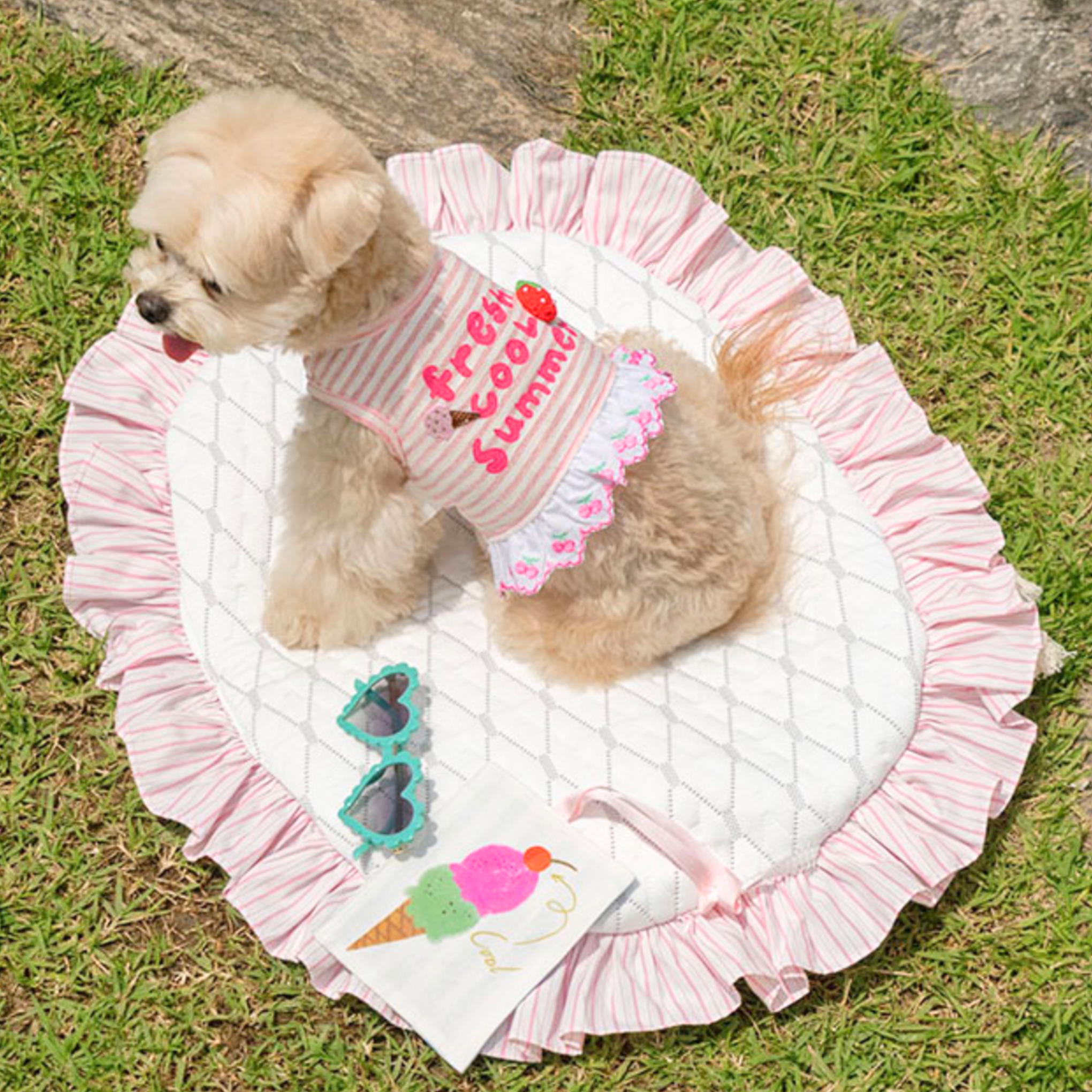 COMING SOON【It's Sunny Outside】Fresh Cool Summer Top