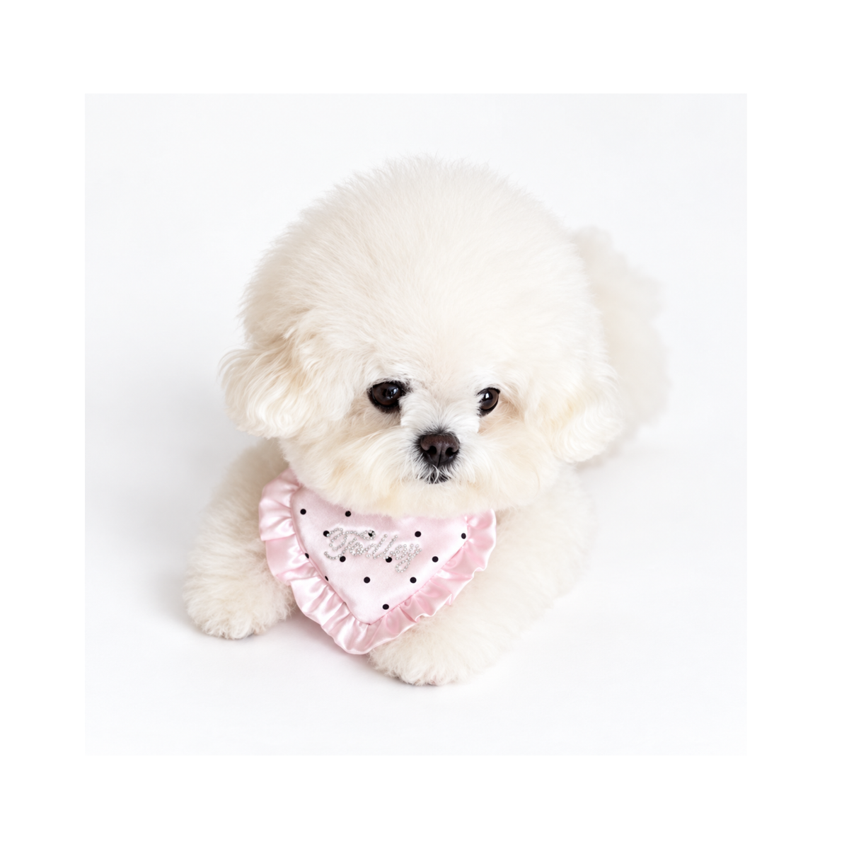 即納【todley】Dear Love Heart Bib｜2sizes