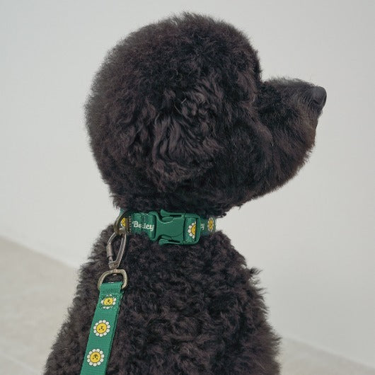 ★NEW★【予約商品】デイジー　ウォーキーcollar_グリーン