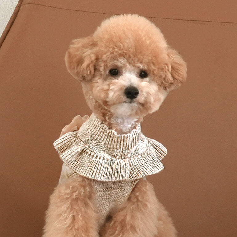 ★NEW★即納【正規販売店】Bailey Aleeyフリルニット_メランジ　※ブローチ付き