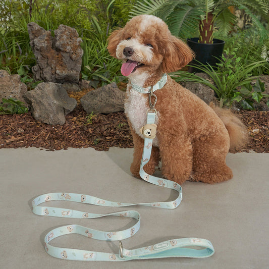 ★NEW★【予約商品】🧸Bailey Pet  TEDDY WARKIE_Leash_ミント