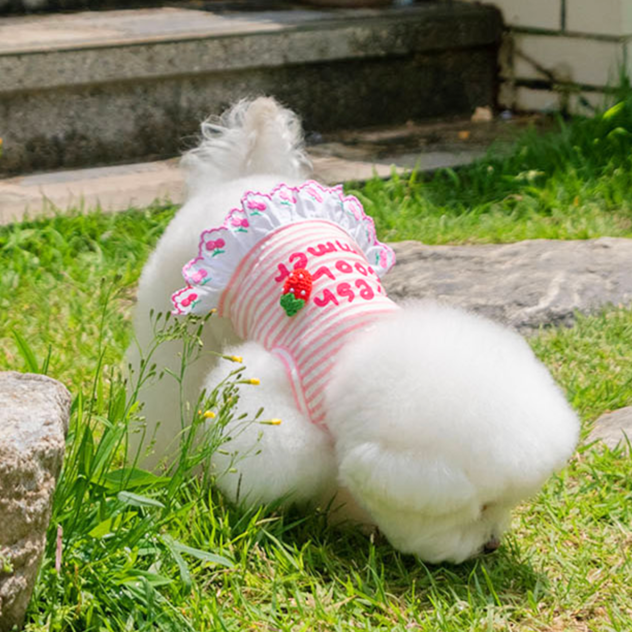 COMING SOON【It's Sunny Outside】Fresh Cool Summer Top