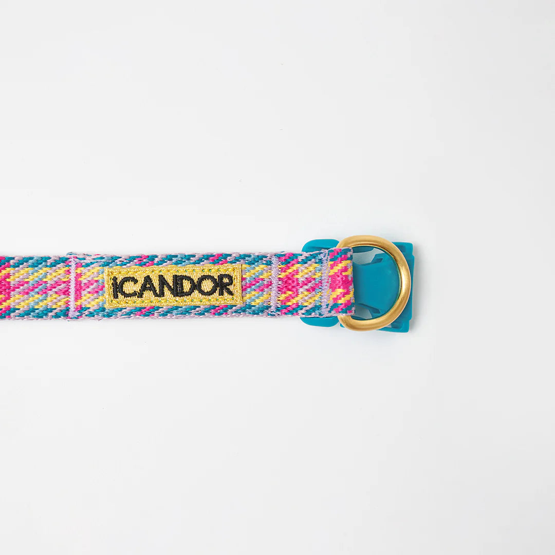 NEW｜即納【iCANDOR】Gentle Collar Dual｜Edinburgh Check 　※LIMITED COLOR