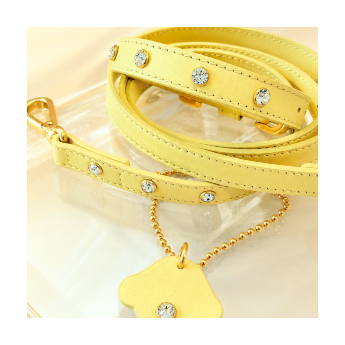 NEW｜予約商品【BERRY MARCH】Stella Collar｜Lemon Soda