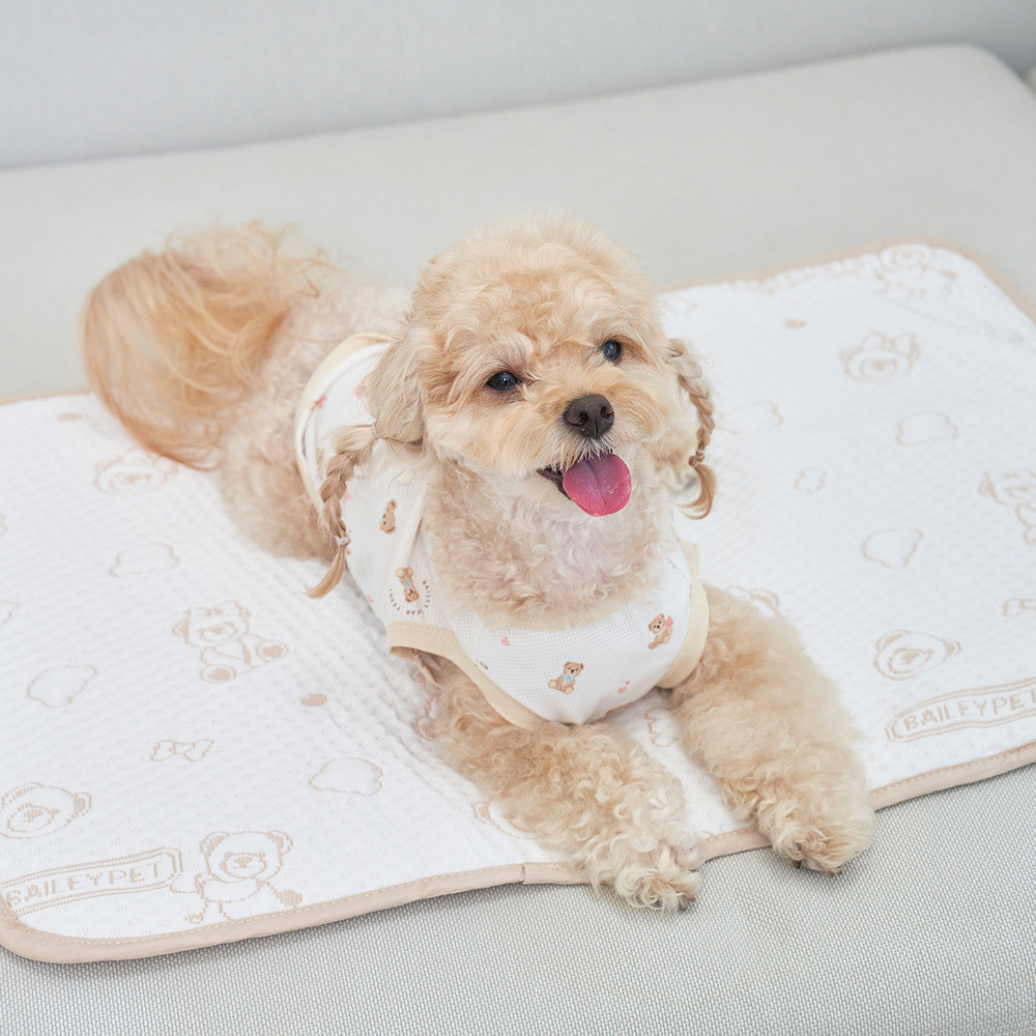 NEW｜即納【Bailey】SNOW TEDDY COOLING MAT｜S,M size
