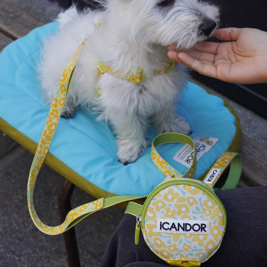 ★即納【正規販売店】iCANDOR   Dingle-Dangle Bag ＿ BIG FISH YELLOW