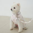 Gallery viewerに画像を読み込む, 予約商品【Bailey】Teddy Walky Collar｜Pink
