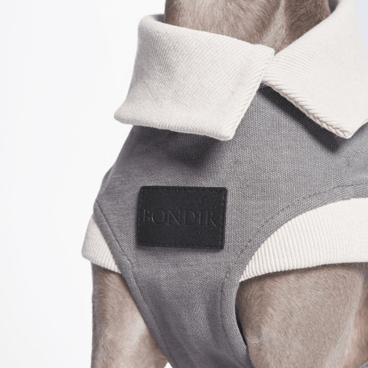予約商品｜NEW 【BONDIR】GRAPHITE TANK TOP
