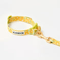 Gallery viewerに画像を読み込む, ★即納【正規販売店】iCANDOR   Gentle Collar Dual＿ BIG FISH YELLOW

