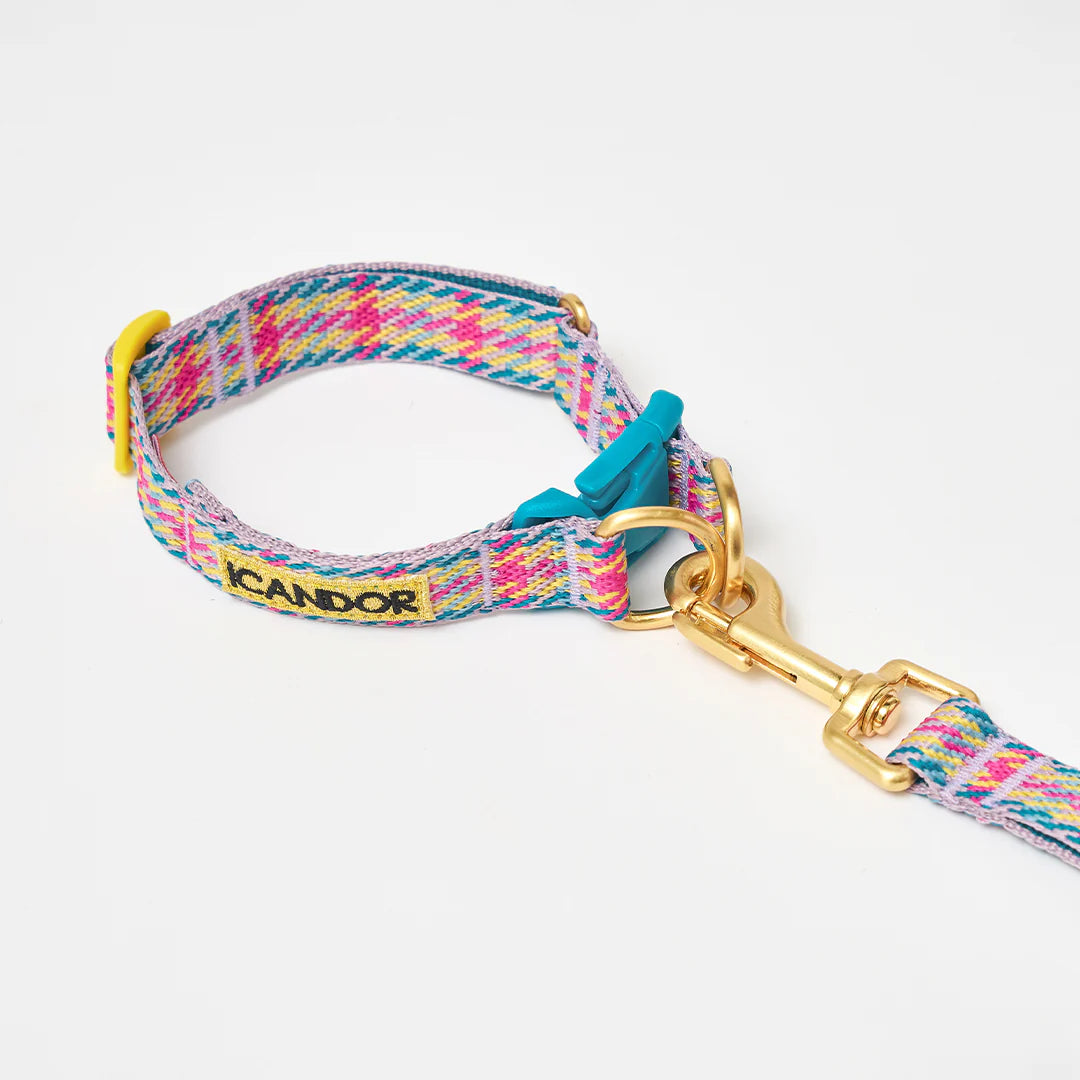 NEW｜即納【iCANDOR】Gentle Collar Dual｜Edinburgh Check 　※LIMITED COLOR