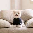 Gallery viewerに画像を読み込む, NEW｜即納【todley】New Turtleneck｜Navy
