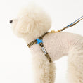 Gallery viewerに画像を読み込む, ★即納【正規販売店】iCANDOR No-Pull Harness _LEOPARD
