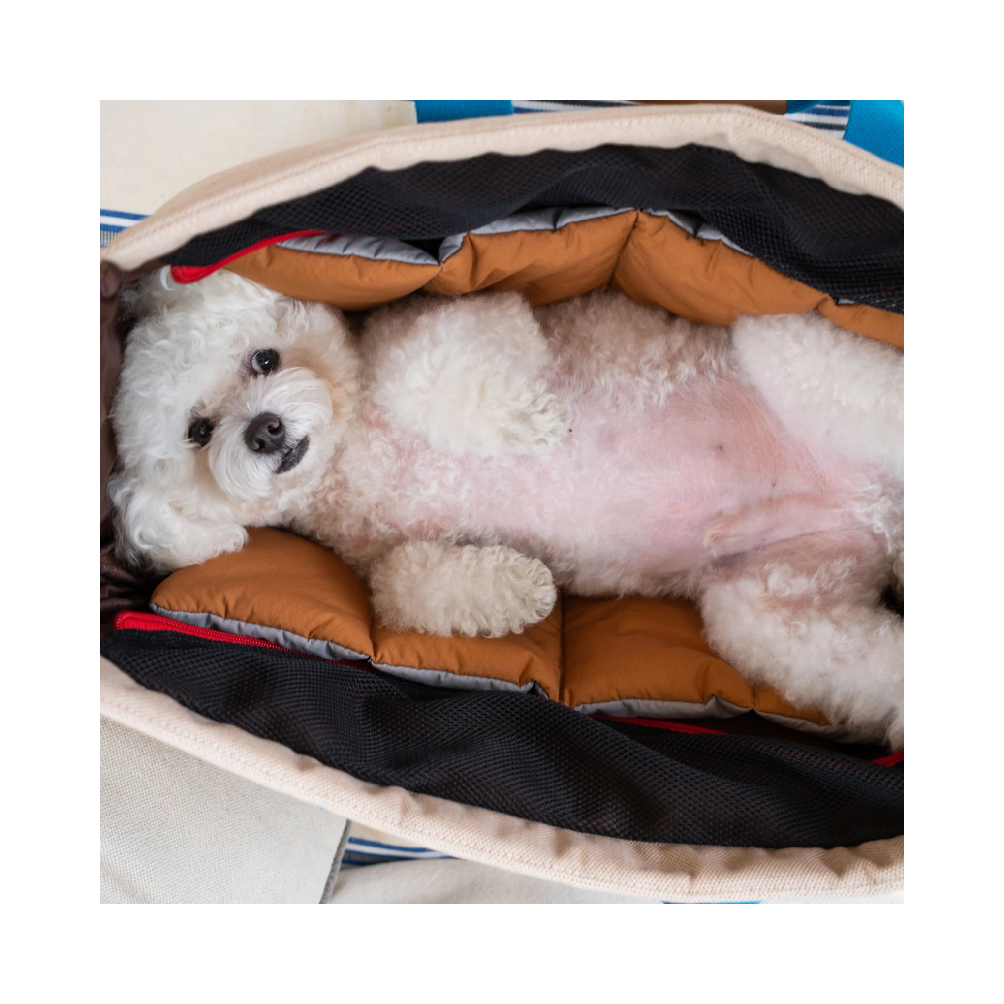 NEW｜即納【iCANDOR】FLUFFY CUSHION　※Peek-A-Boo Bag