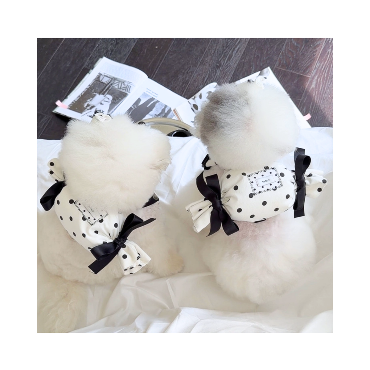 予約商品【todley】Dot Candy Back Bag