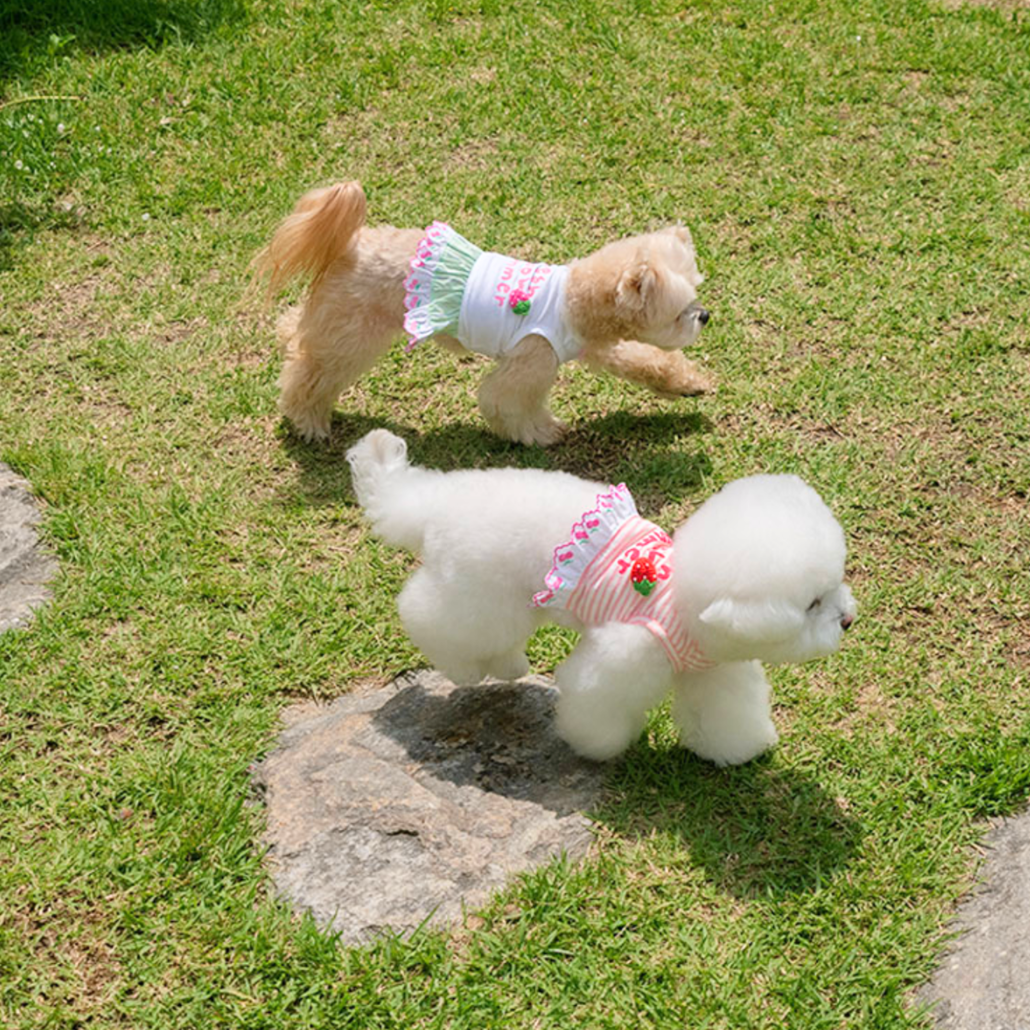 COMING SOON【It's Sunny Outside】Fresh Cool Summer OPS