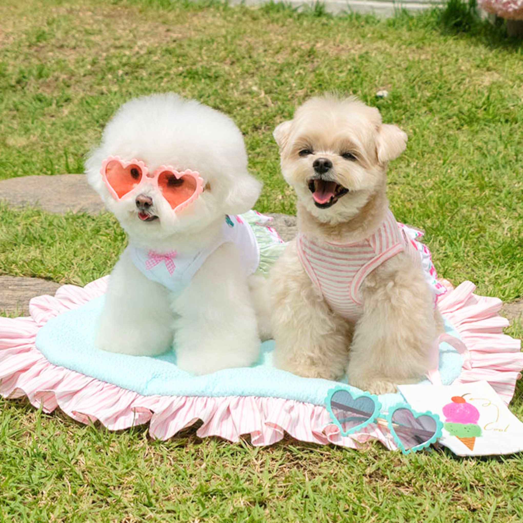 COMING SOON【It's Sunny Outside】Fresh Cool Summer OPS