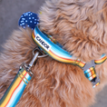 Gallery viewerに画像を読み込む, NEW｜即納【iCANDOR】Gentle Leash Bolt Long｜ RIPPLE
