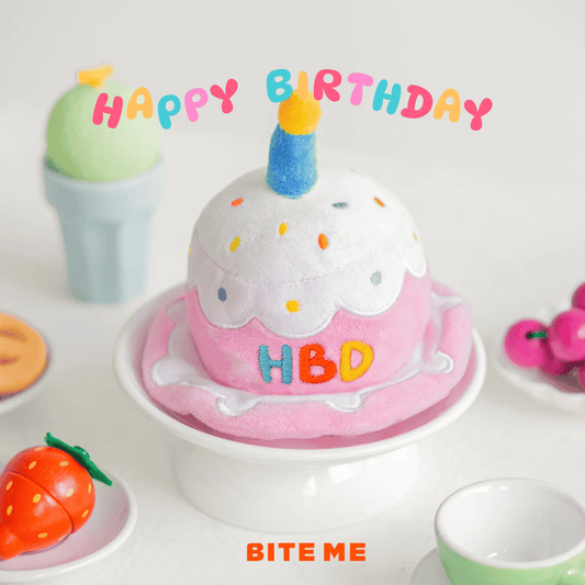🇰🇷即納【BITE ME】バースデーケーキハットおもちゃ
