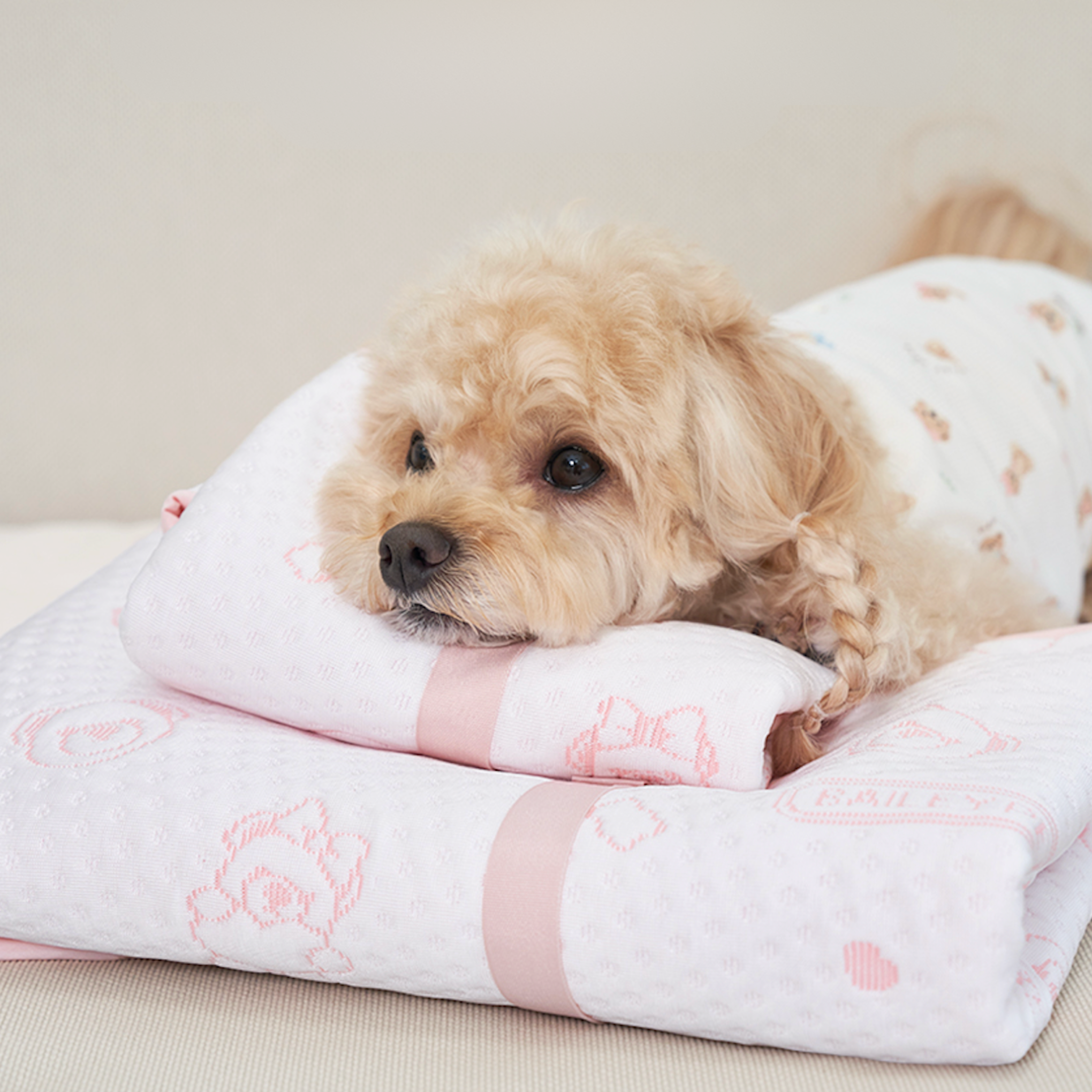 NEW｜即納【Bailey】SNOW TEDDY COOLING MAT｜S,M size