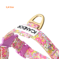 Gallery viewerに画像を読み込む, NEW｜即納【iCANDOR】No-Pull Harness｜FROLA　※XS,S,M,L
