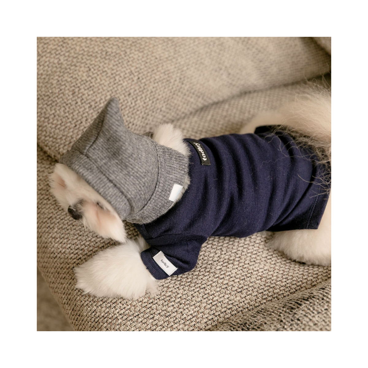 NEW｜即納【todley】New Turtleneck｜Navy