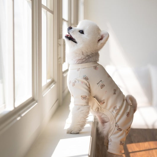 NEW★予約商品【正規販売店】🧸Bailey  テディ 抗菌オールインワン