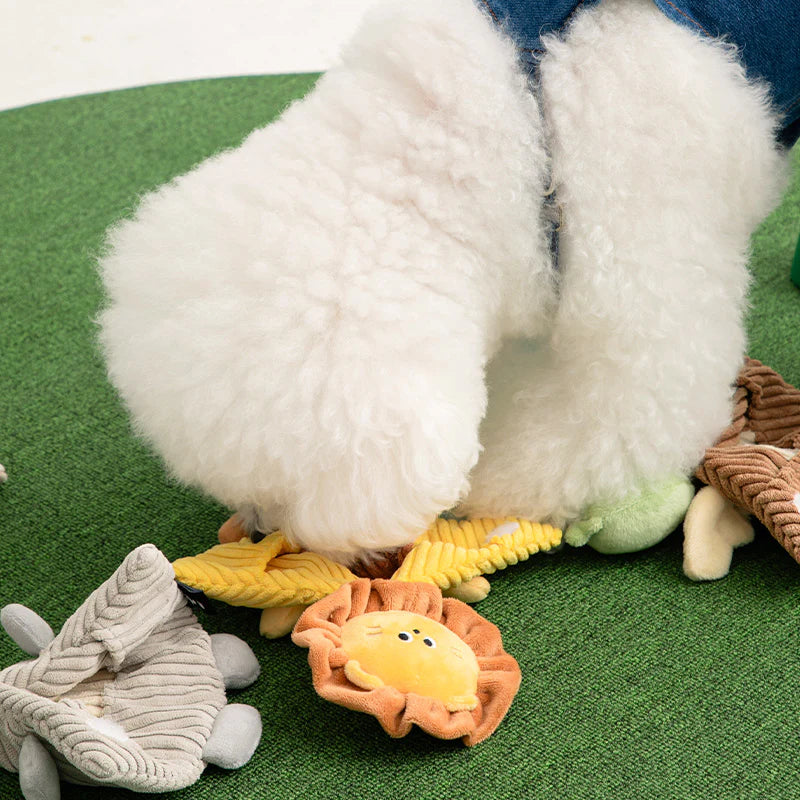 NEW｜即納【BITE ME】Crinkle Pocket Cape Toy ｜3TYPES