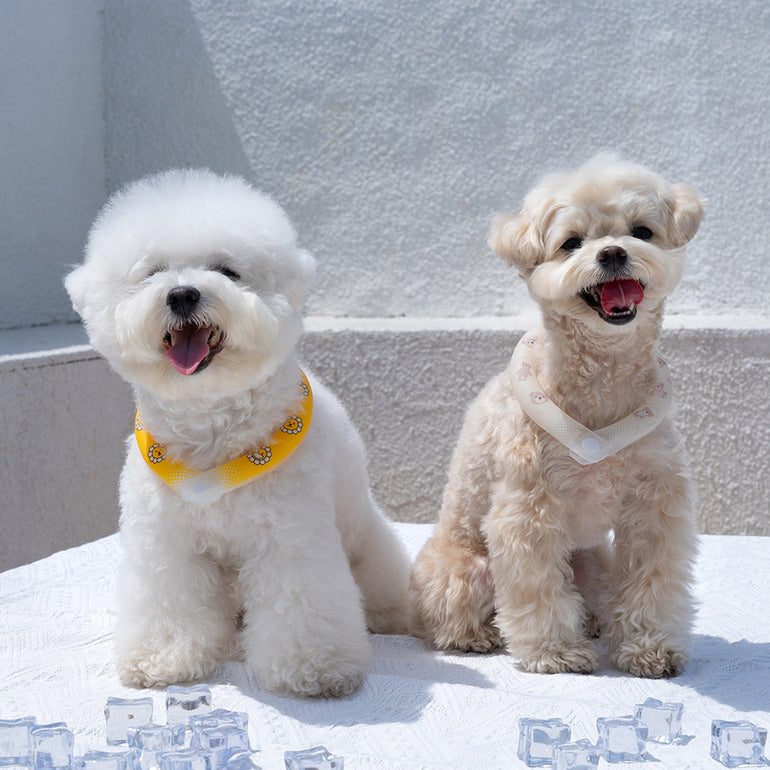NEW｜即納【Bailey】ICE NECK COOLER｜DAISY（防虫・蓄光）