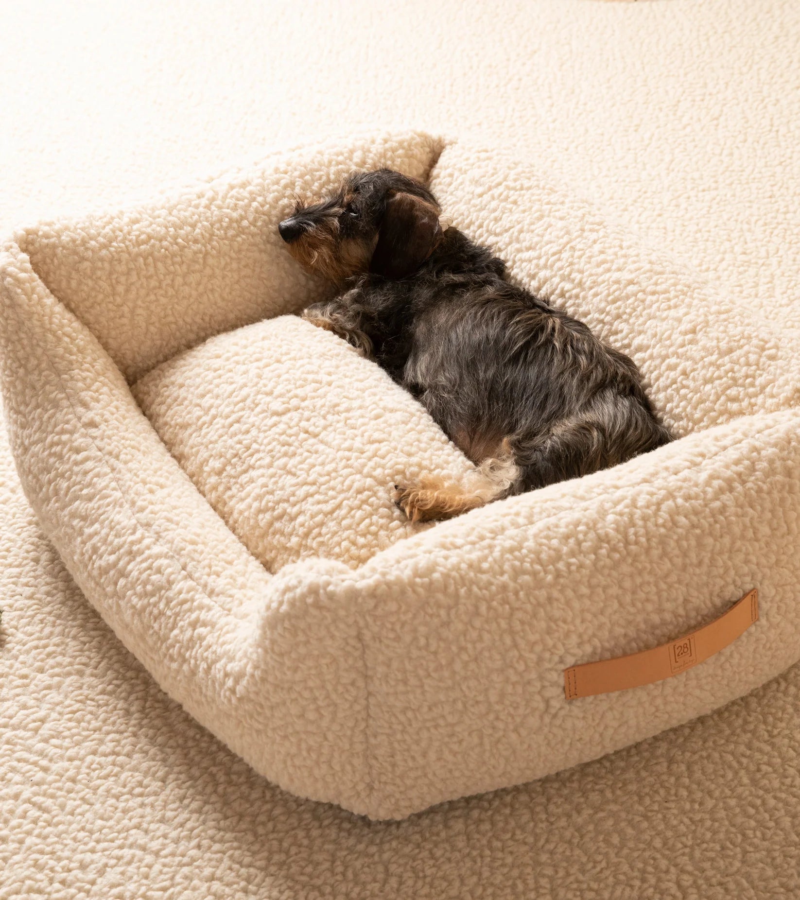 🇮🇹予約商品🇮🇹　正規取扱店【2.8】HENRI BOUCLE WOOL DOG BED  / Cream