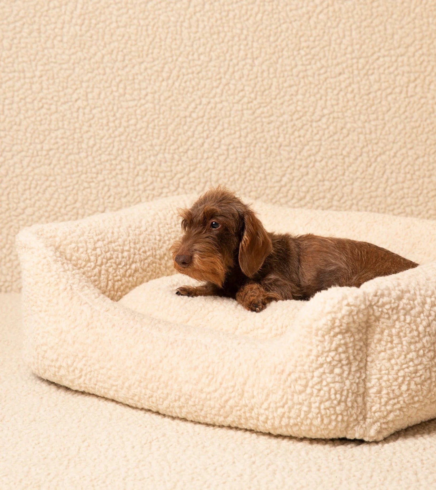 🇮🇹予約商品🇮🇹　正規取扱店【2.8】HENRI BOUCLE WOOL DOG BED  / Cream