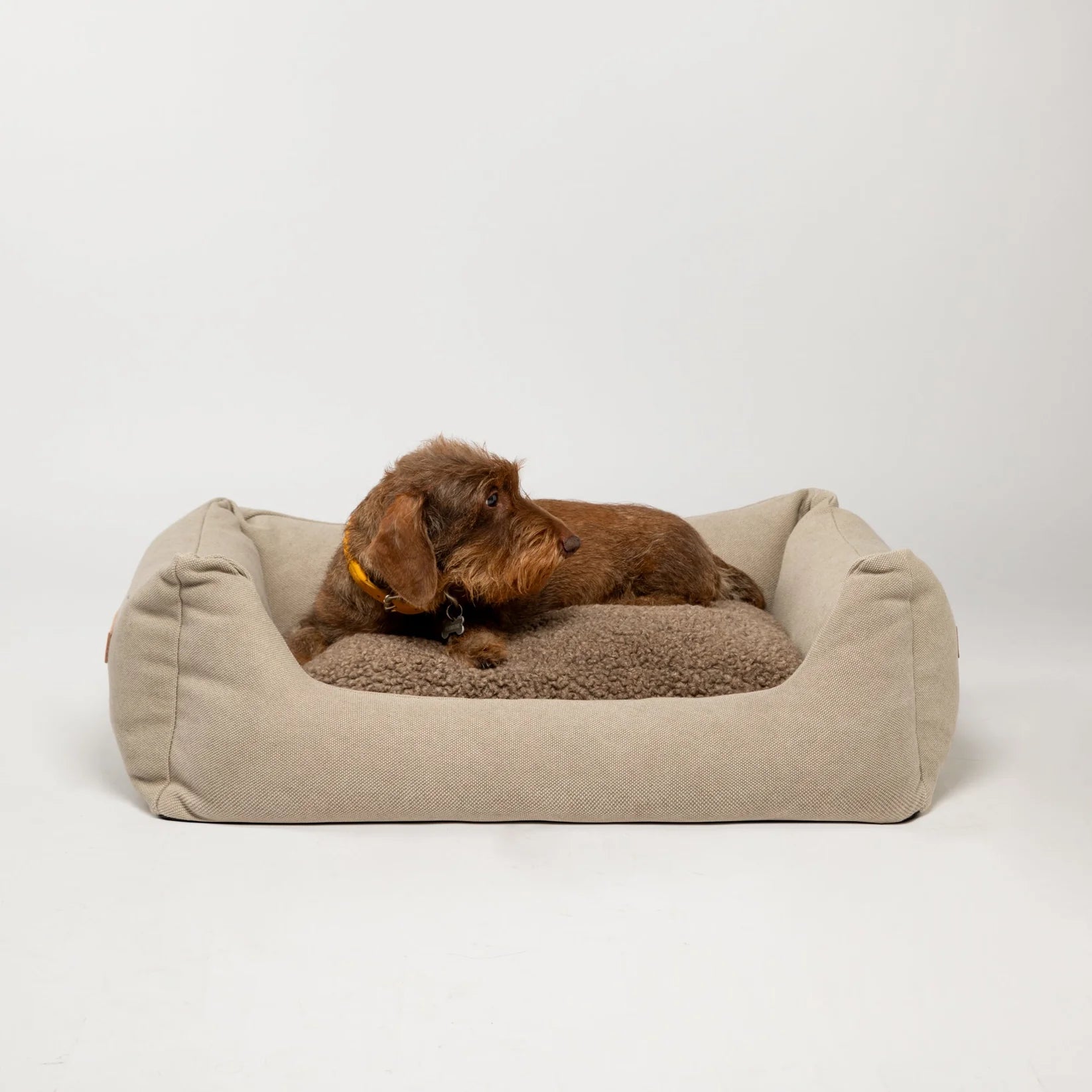 🇮🇹予約商品🇮🇹　正規取扱店【2.8】HENRI ORGANIC COTTON DOG BED