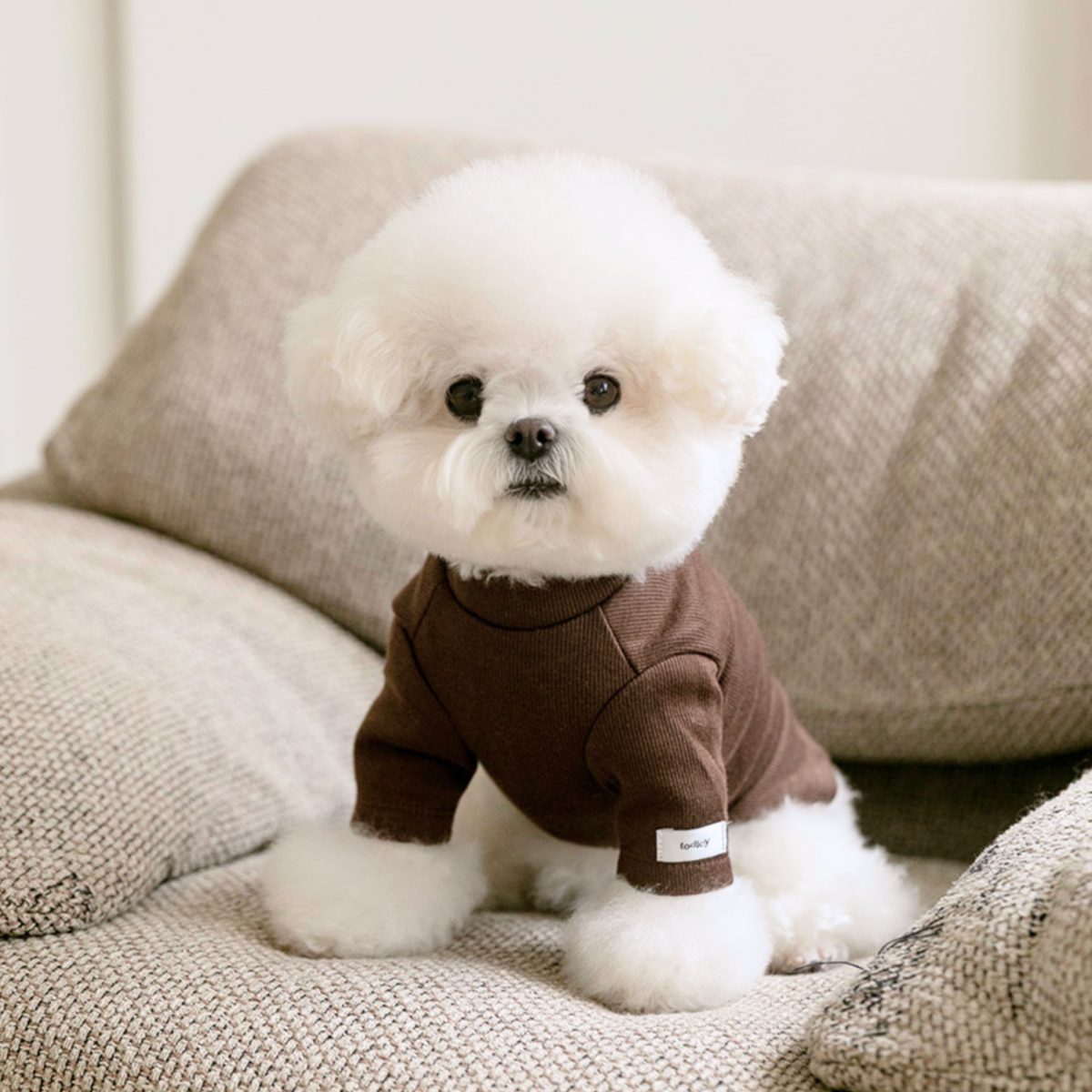 NEW｜即納【todley】New Turtleneck｜Brown