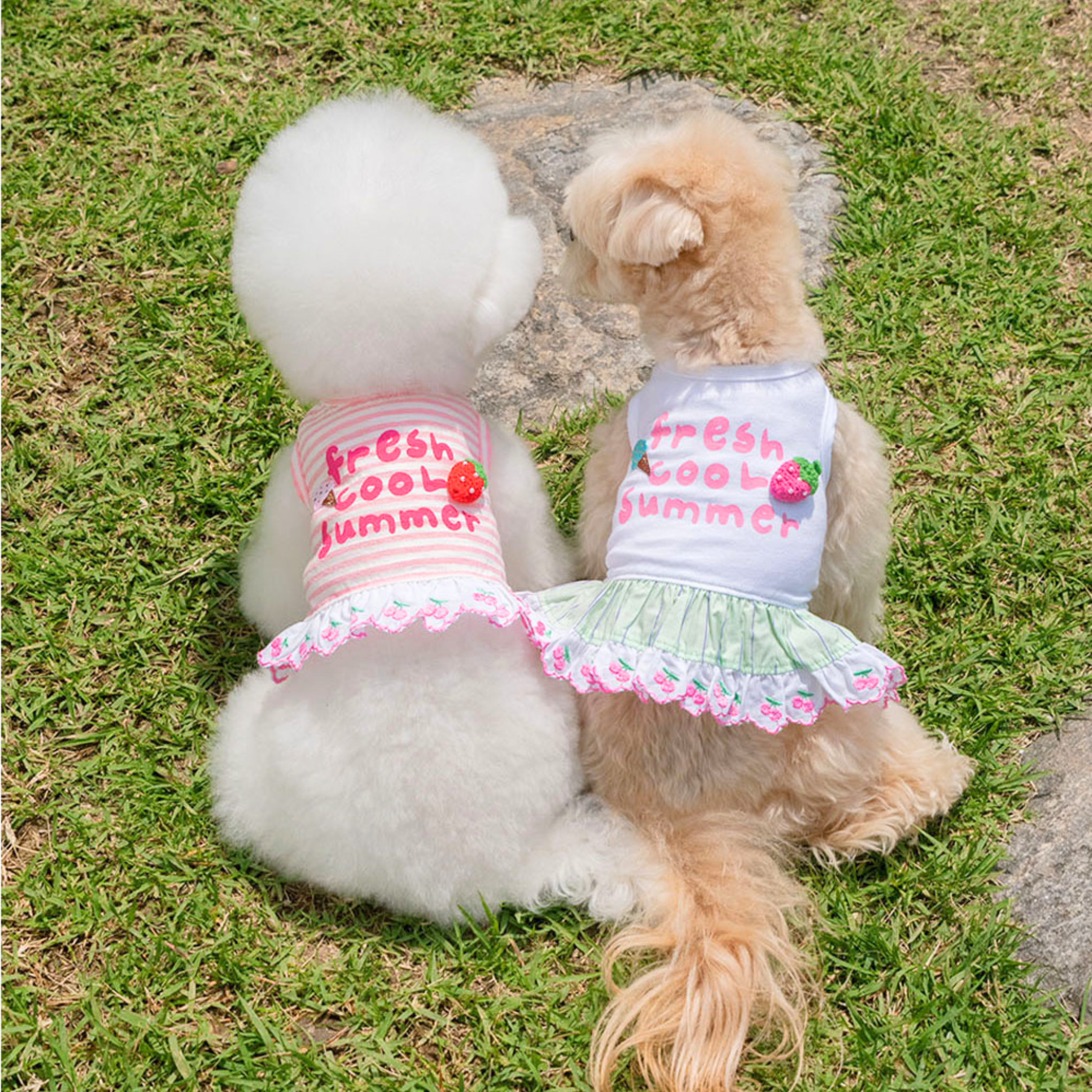 COMING SOON【It's Sunny Outside】Fresh Cool Summer OPS