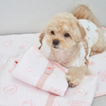 Gallery viewerに画像を読み込む, NEW｜即納【Bailey】SNOW TEDDY COOLING MAT｜S,M size

