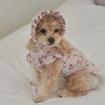 Gallery viewerに画像を読み込む, ★NEW★予約商品【正規販売店】Bailey  コットンフラワー  ボンネット_ピンク
