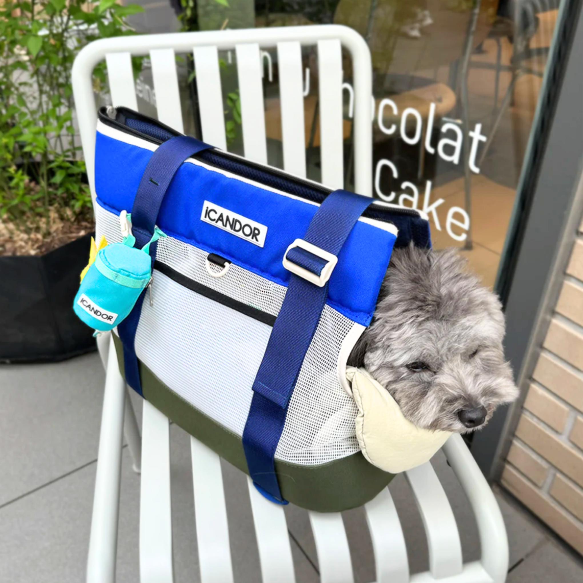 NEW｜即納【iCANDOR】Brisbane Bag｜Eastwood Blue