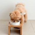 Gallery viewerに画像を読み込む, NEW｜即納【KESTI】WHITE OAK TABLE｜Medium
