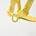 Gallery viewerに画像を読み込む, ★即納【正規販売店】iCANDOR No-Pull Harness_ BIG FISH Yellow

