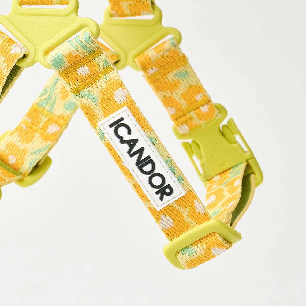 ★即納【正規販売店】iCANDOR No-Pull Harness_ BIG FISH Yellow