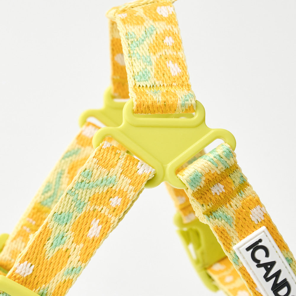 ★即納【正規販売店】iCANDOR No-Pull Harness_ BIG FISH Yellow