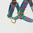 Gallery viewerに画像を読み込む, ★即納【正規販売店】iCANDOR No-Pull Harness _BIG FISH MINT
