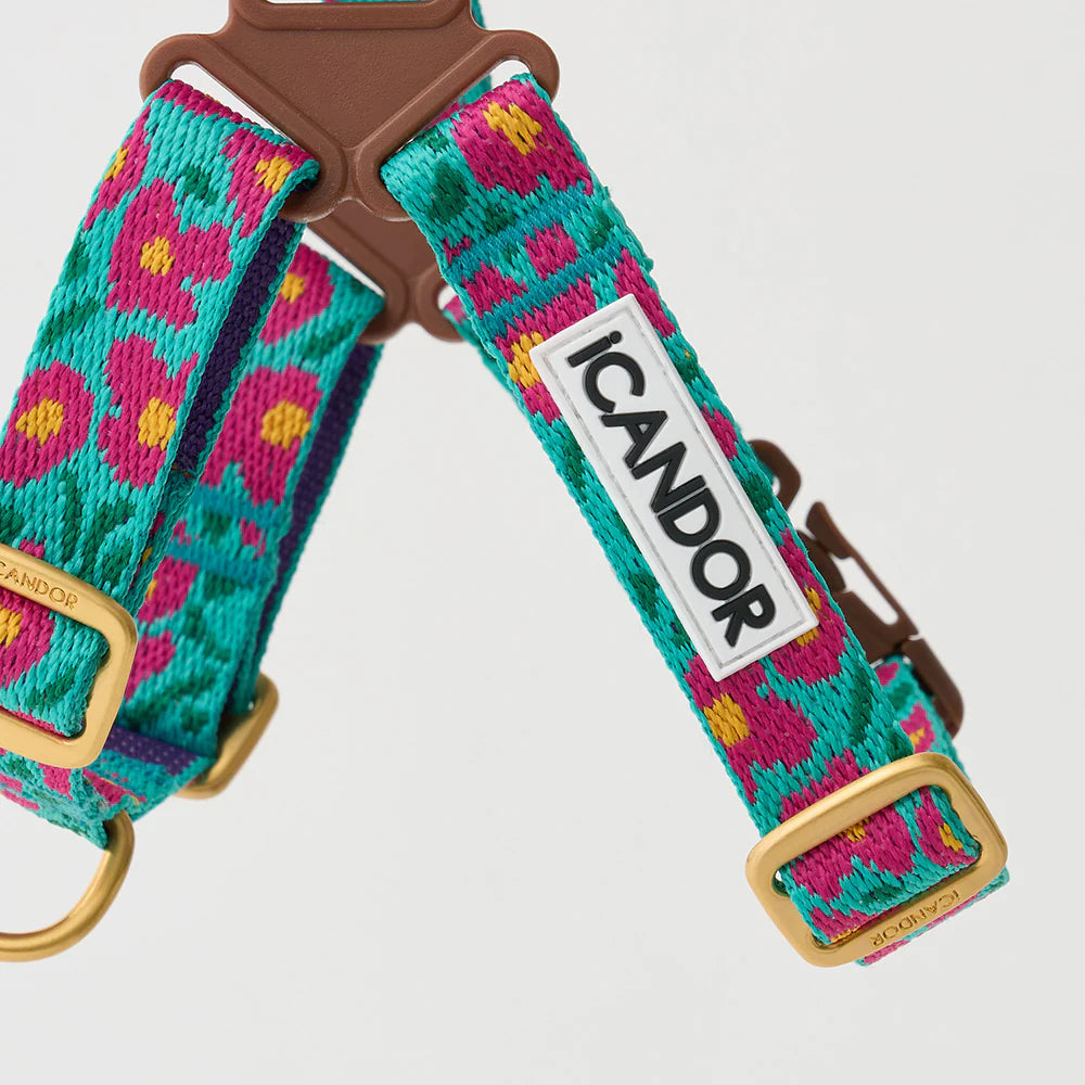 ★即納【正規販売店】iCANDOR No-Pull Harness _BIG FISH MINT