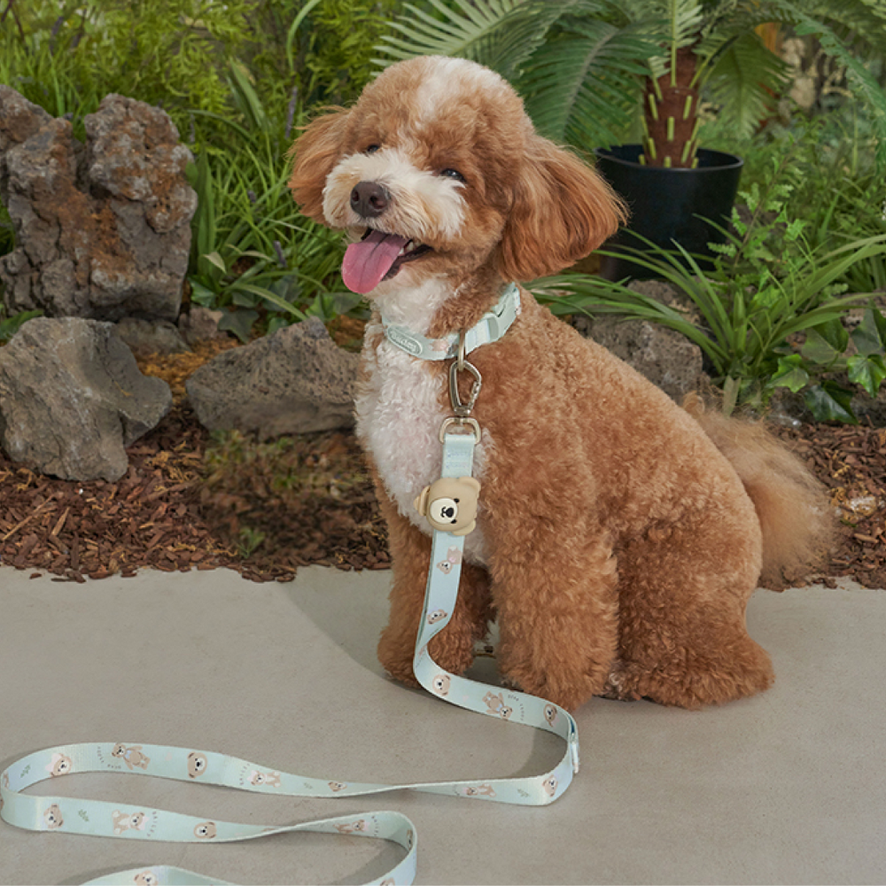 ★NEW★即納【Bailey Pet】LED　Blinker