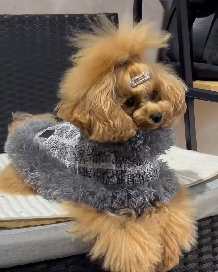 ★予約商品★【BONDIR】MOON RIVER CAPE　ムーンリバーケープ　 ※送料込み