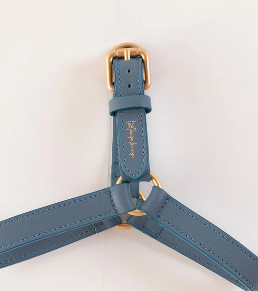 🇮🇹予約商品🇮🇹　正規取扱店【2.8】MARIO HARNESS
