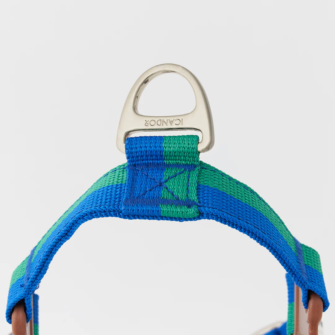 ★即納【正規販売店】iCANDOR No-Pull Harness _ FOREST