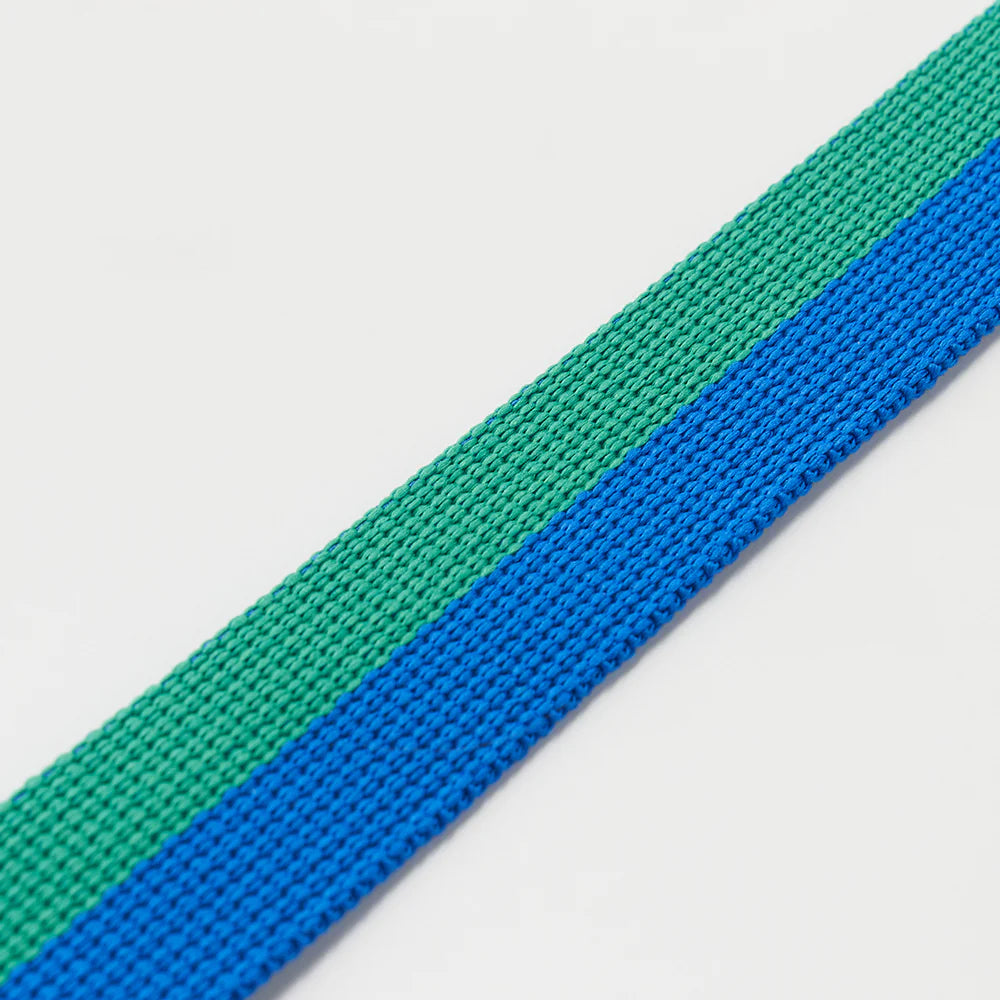 ★即納【正規販売店】iCANDOR No-Pull Harness _ FOREST
